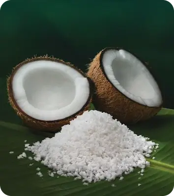 Coconut